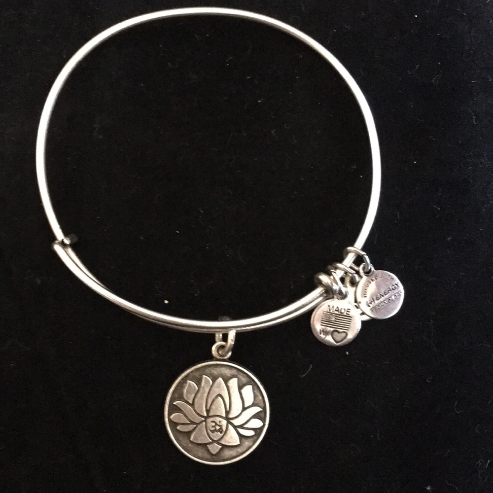 Alex and Ani bracelet - new